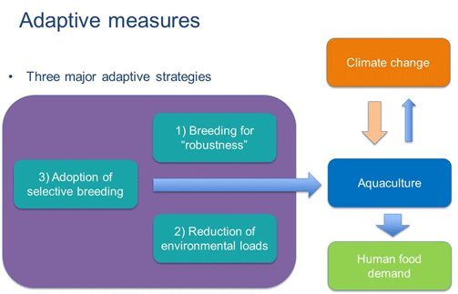 Graphic representation of 3 major adaptive strategies from selective breeding to cope with the effects of climate change on aquaculture. The three major adaptive strategies also aim to minimize the impact of aquaculture on climate change, for example, to reduce greenhouse gas emissions through reduction in environmental loads, and moving aquaculture toward greater efficiency and greater sustainability.